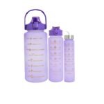 KIT 3 GARRAFAS- ROXO