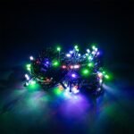 PISCA PISCA COLORIDO- COLORIDO