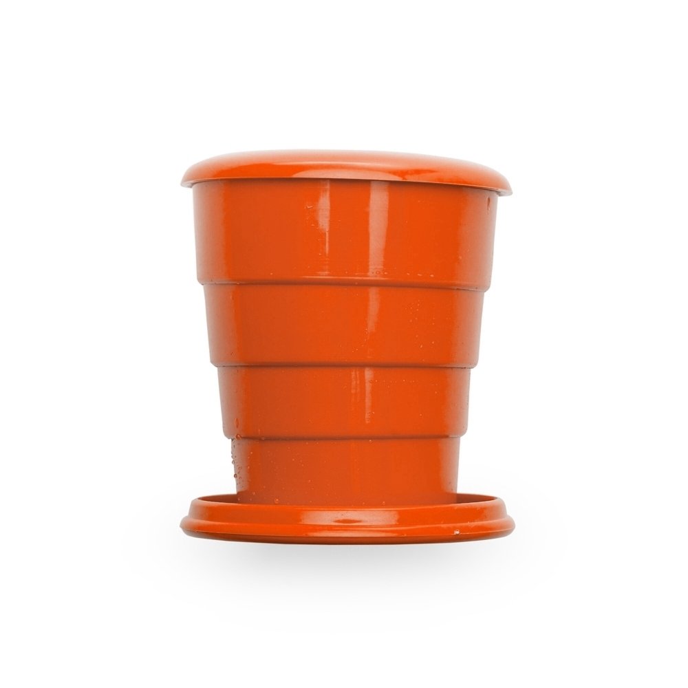 PA004866-17 PA004866-17